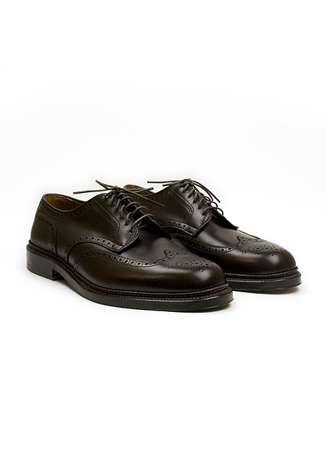alden_for_blackbird