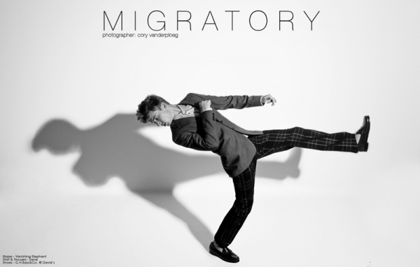 Migratory by Cory Vanderploeg