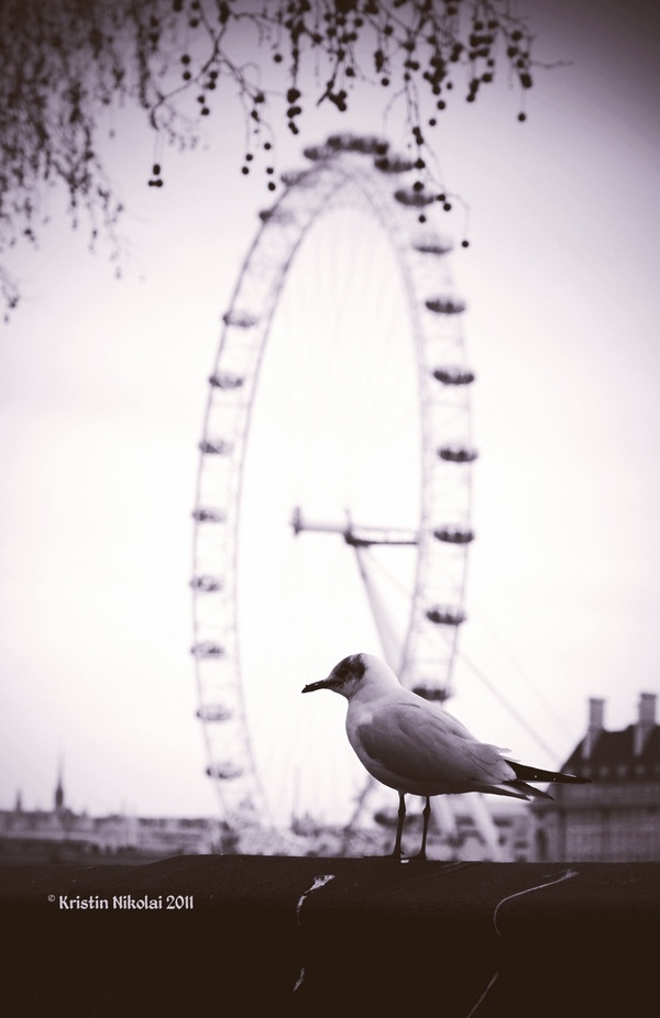My London by Kristin Nikolai