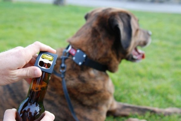 Bark4Beer Dog Collar Bottle Opener