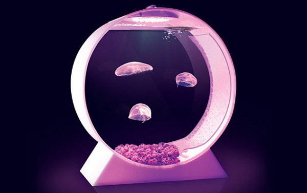 Jellyfish Art 'Desktop Fish Tank'