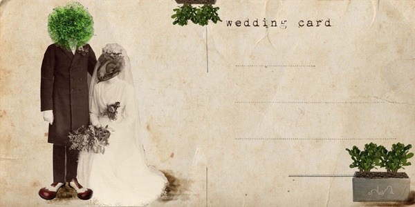 Illustrations From Aleksandra Orlova