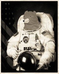 Atomic Ghost 'Astro Bears: American Heroes'