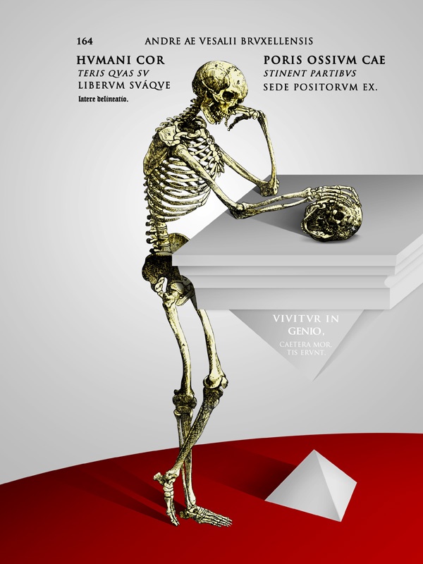 Cesar Gomez Anatomy X Illustration