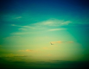 Ryan Tatar Photography