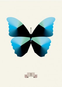 Steven Moreau 1/20 Insect Illustrations