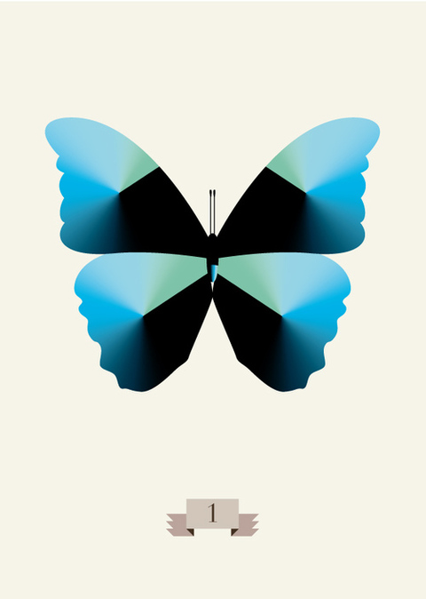 Steven Moreau 1/20 Insect Illustrations