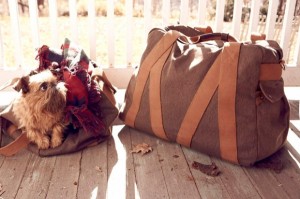 Whillas & Gunn Fall / Winter 2010 Collection Bags