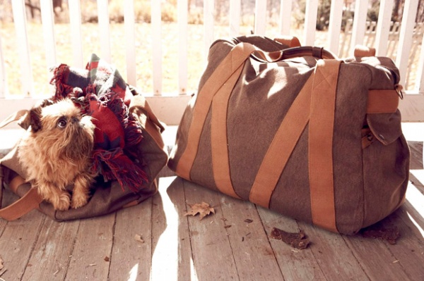 Whillas & Gunn Fall / Winter 2010 Collection Bags