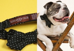 Alexander Olch – Spring/Summer 2009 Bow-Ties