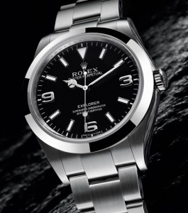 Rolex Explorer 2010 Watch