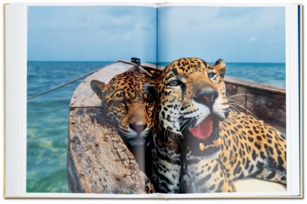 taschen-natgeo-2013-09-630x419